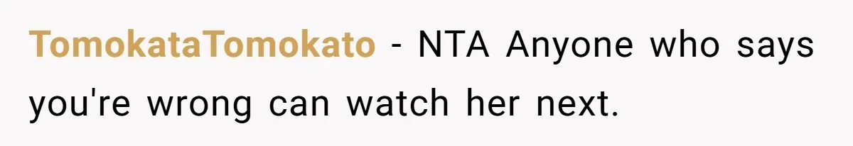 She Was Asked to Watch Her Niece for 30 Minutes, Then the Mom Disappeared for Hours TomokataTomokato − NTA Anyone who says you're wrong can watch her next.