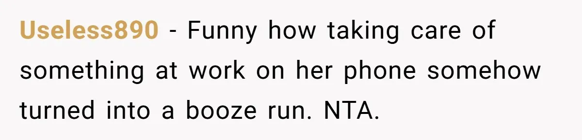 She Was Asked to Watch Her Niece for 30 Minutes, Then the Mom Disappeared for Hours Useless890 − Funny how taking care of something at work on her phone somehow turned into a booze run. NTA.