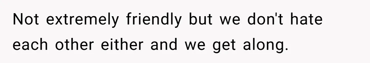 When "I Do" Becomes "I Don't Care": The Wedding Rule War You Didn’t See Coming Not extremely friendly but we don't hate each other either and we get along.
