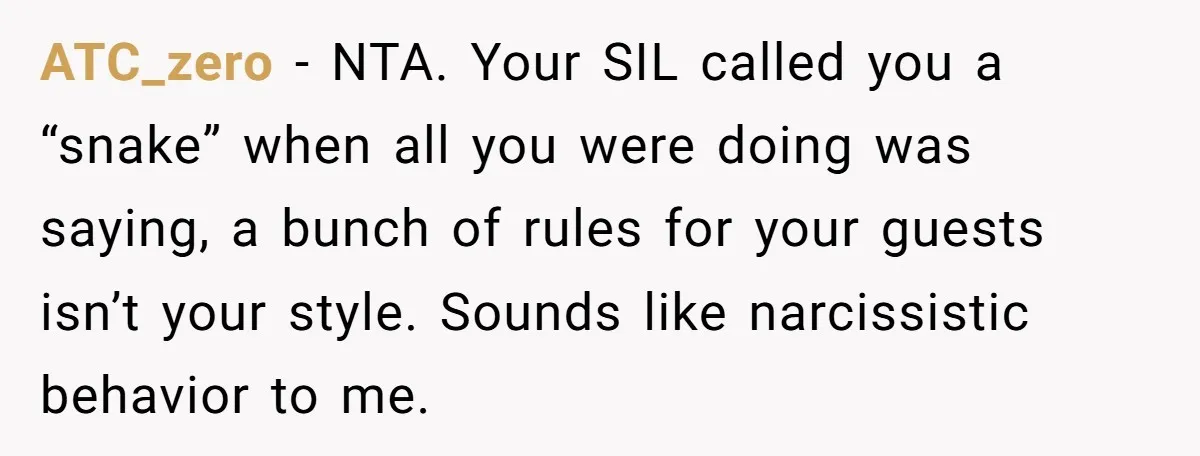 When "I Do" Becomes "I Don't Care": The Wedding Rule War You Didn’t See Coming ATC_zero − NTA. Your SIL called you a “snake” when all you were doing was saying, a bunch of rules for your guests isn’t your style. Sounds like narcissistic behavior...