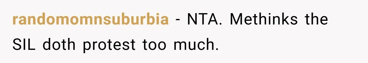 When "I Do" Becomes "I Don't Care": The Wedding Rule War You Didn’t See Coming randomomnsuburbia − NTA. Methinks the SIL doth protest too much.