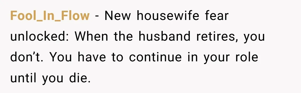Man Tells His Wife To Get A Job or Start Cooking And Cleaning After Moving Abroad, Was He Too Harsh? Fool_In_Flow − New housewife fear unlocked: When the husband retires, you don’t. You have to continue in your role until you die.
