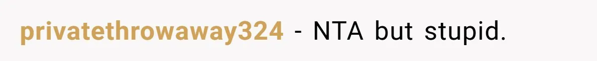privatethrowaway324 − NTA but stupid.