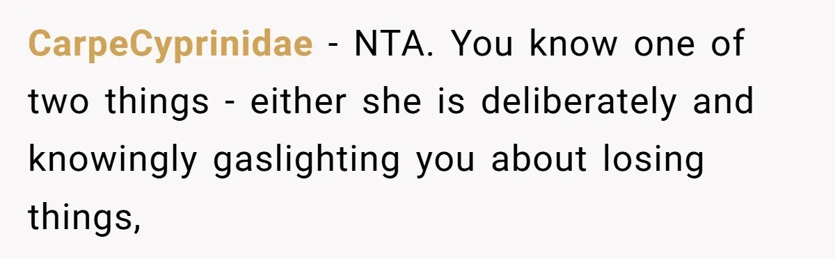 Man Ends His Long Relationship After Catching His Partner Orchestrating A Bizarre Psychological Scheme CarpeCyprinidae − NTA. You know one of two things - either she is deliberately and knowingly gaslighting you about losing things,