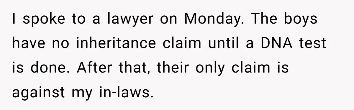 Woman Refuses To Raise Husband's Affair Babies After His Death I spoke to a lawyer on Monday. The boys have no inheritance claim until a DNA test is done. After that, their only claim is against my in-laws.
