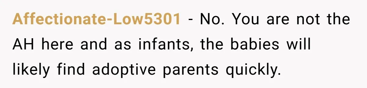 Woman Refuses To Raise Husband's Affair Babies After His Death Affectionate-Low5301 − No. You are not the AH here and as infants, the babies will likely find adoptive parents quickly.