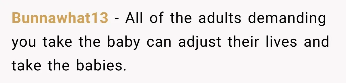 Woman Refuses To Raise Husband's Affair Babies After His Death Bunnawhat13 − All of the adults demanding you take the baby can adjust their lives and take the babies.