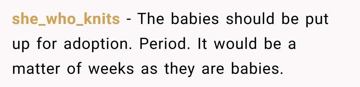 Woman Refuses To Raise Husband's Affair Babies After His Death she_who_knits − The babies should be put up for adoption. Period. It would be a matter of weeks as they are babies.