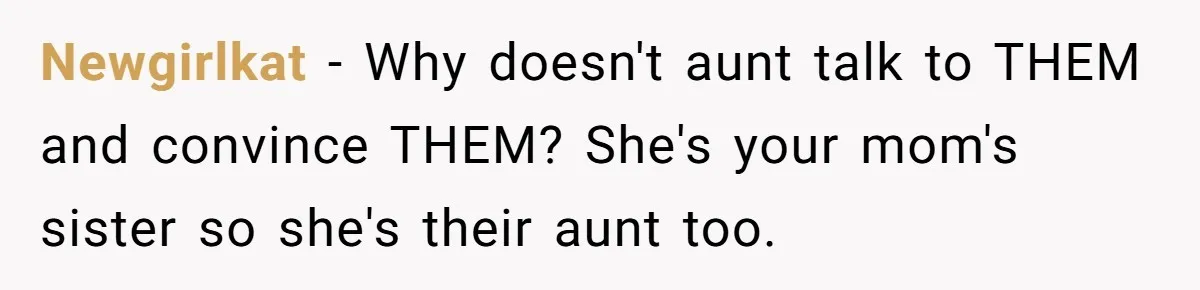 She Told Her Aunt “You’re Not Welcome Anymore,” After Being Pushed About Family She Doesn’t Even Have a Relationship With Newgirlkat − Why doesn't aunt talk to THEM and convince THEM? She's your mom's sister so she's their aunt too.
