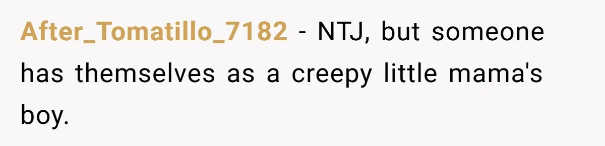 She Tells Her Boyfriend’s Mom She’s Not Allowed In The Bedroom Anymore, But Her Boyfriend Thinks She Overreacted After_Tomatillo_7182 − NTJ, but someone has themselves as a creepy little mama's boy.