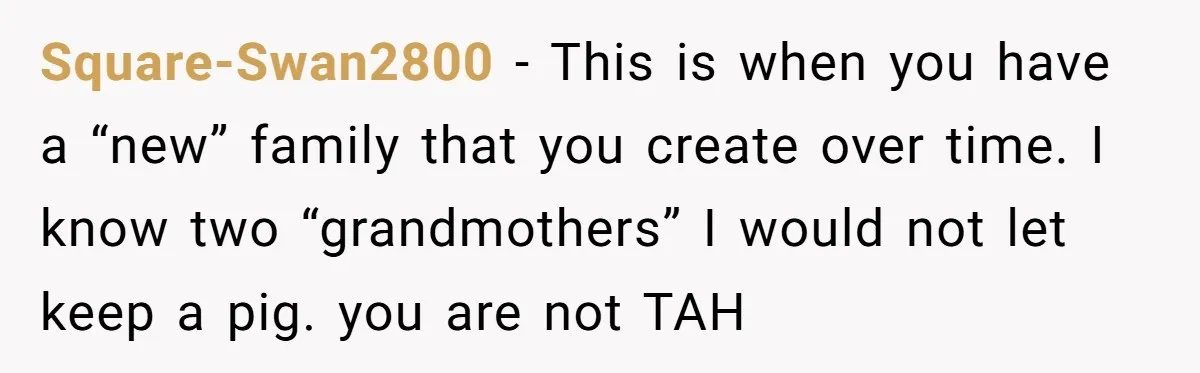She Told Her Mom “You Don’t Get to Be Grandma Now,” After Being Left Alone When She Needed Help Most Square-Swan2800 − This is when you have a “new” family that you create over time. I know two “grandmothers” I would not let keep a pig. you are not TAH