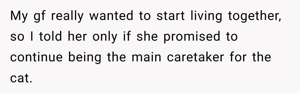 He Gave His Girlfriend an Ultimatum Over Her Cat, but the Real Issue Wasn’t the Pet My gf really wanted to start living together, so I told her only if she promised to continue being the main caretaker for the cat.