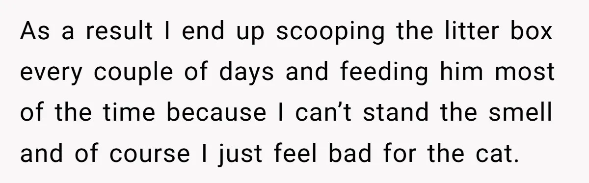 He Gave His Girlfriend an Ultimatum Over Her Cat, but the Real Issue Wasn’t the Pet As a result I end up scooping the litter box every couple of days and feeding him most of the time because I can’t stand the smell and of course...