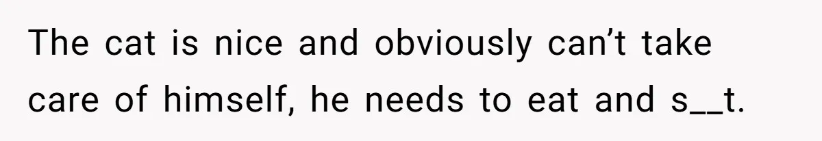 He Gave His Girlfriend an Ultimatum Over Her Cat, but the Real Issue Wasn’t the Pet The cat is nice and obviously can’t take care of himself, he needs to eat and s__t.