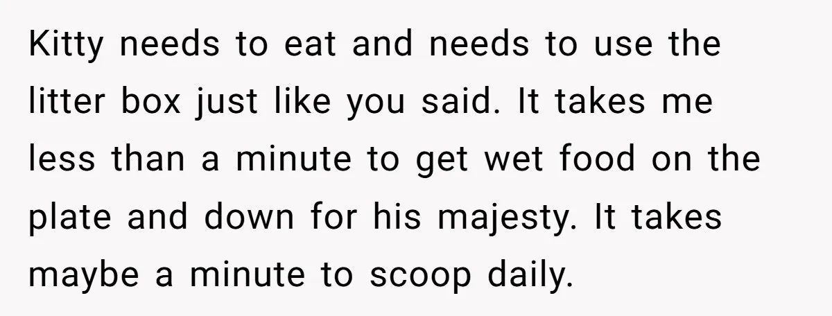 He Gave His Girlfriend an Ultimatum Over Her Cat, but the Real Issue Wasn’t the Pet Kitty needs to eat and needs to use the litter box just like you said. It takes me less than a minute to get wet food on the plate and...