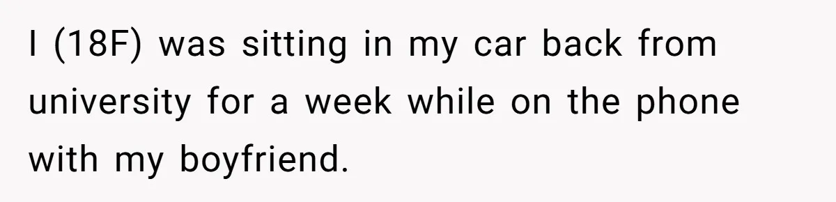 She Refused to Take the Blame for a Car Scratch, Now Her Dad Is Calling Her a Snitch I (18F) was sitting in my car back from university for a week while on the phone with my boyfriend.
