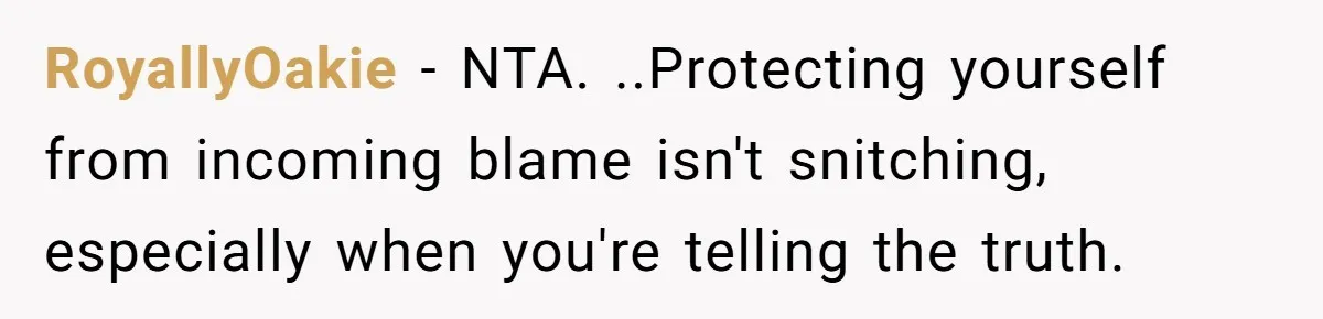 She Refused to Take the Blame for a Car Scratch, Now Her Dad Is Calling Her a Snitch RoyallyOakie − NTA. ..Protecting yourself from incoming blame isn't snitching, especially when you're telling the truth.