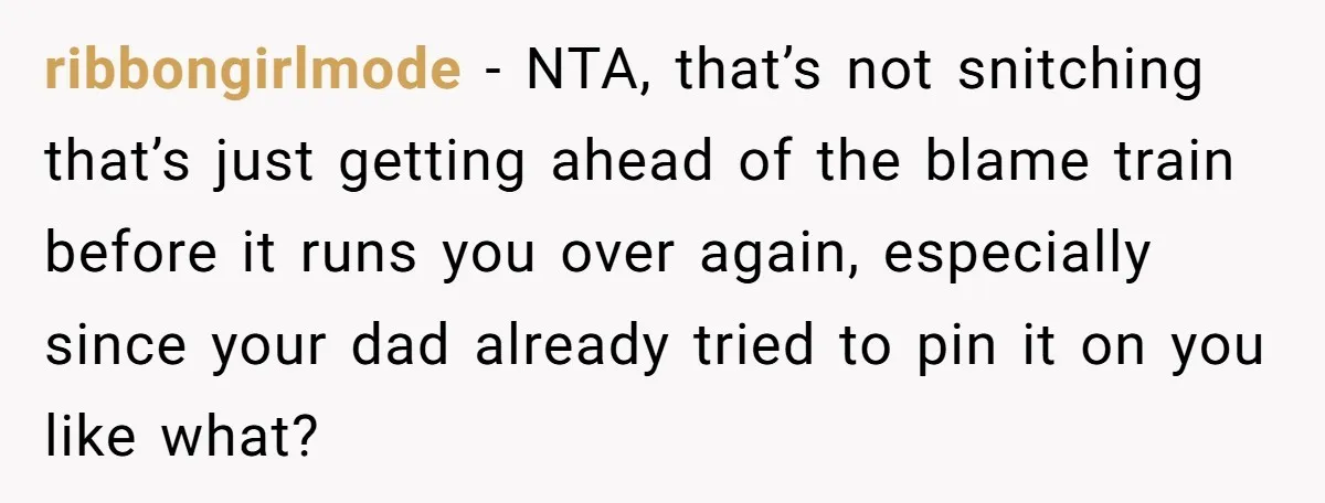 She Refused to Take the Blame for a Car Scratch, Now Her Dad Is Calling Her a Snitch ribbongirlmode − NTA, that’s not snitching that’s just getting ahead of the blame train before it runs you over again, especially since your dad already tried to pin it on...