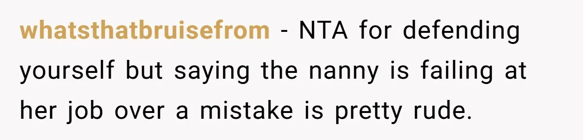 She Refused to Take the Blame for a Car Scratch, Now Her Dad Is Calling Her a Snitch whatsthatbruisefrom − NTA for defending yourself but saying the nanny is failing at her job over a mistake is pretty rude.