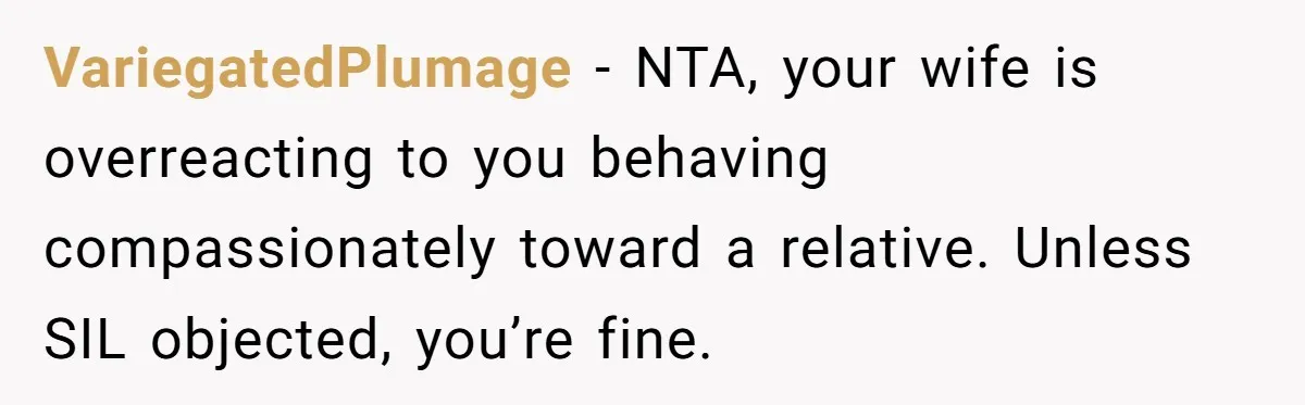 He Comforted His Sister-in-Law at a Bar, Then His Wife Said He Crossed a Line VariegatedPlumage − NTA, your wife is overreacting to you behaving compassionately toward a relative. Unless SIL objected, you’re fine.