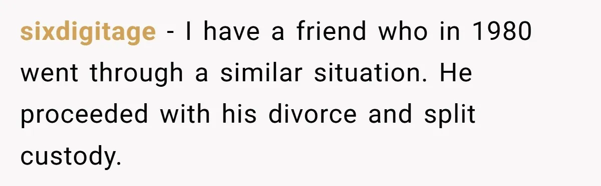 Husband Wants A Divorce After Wife Becomes Abusive And Cheats, She Begs For Another Chance sixdigitage − I have a friend who in 1980 went through a similar situation. He proceeded with his divorce and split custody.