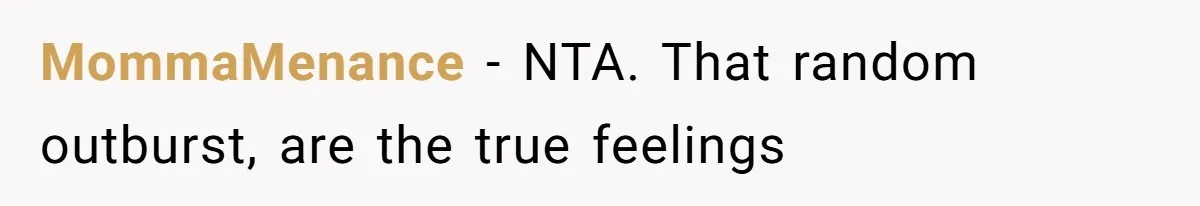 The Shocking Outburst Where A Boyfriend Referred To His Partners Body As Out Of Service MommaMenance − NTA. That random outburst, are the true feelings