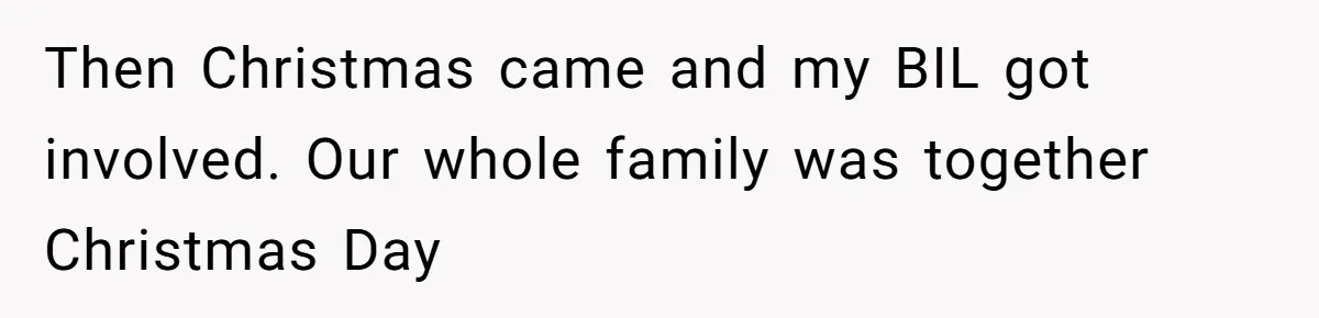 Woman Refuses To Delay Hysterectomy To Be Surrogate For Sister, Is She Wrong For Saying No? Then Christmas came and my BIL got involved. Our whole family was together Christmas Day
