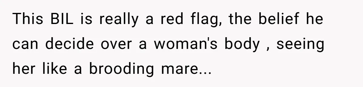 Woman Refuses To Delay Hysterectomy To Be Surrogate For Sister, Is She Wrong For Saying No? This BIL is really a red flag, the belief he can decide over a woman's body , seeing her like a brooding mare...