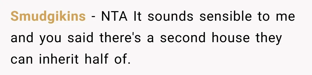 Nephew Buys Uncle's House To Help With Debt, Cousins Call Him A Thief Smudgikins − NTA It sounds sensible to me and you said there's a second house they can inherit half of.