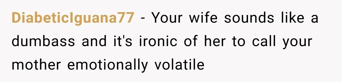 DiabeticIguana77 − Your wife sounds like a dumbass and it's ironic of her to call your mother emotionally volatile