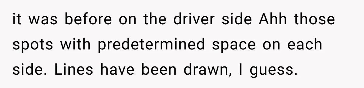 They Told Him to Submit Complaints in Writing. He Sent a 1,847-Word Essay About a Parking Spot it was before on the driver side Ahh those spots with predetermined space on each side. Lines have been drawn, I guess.