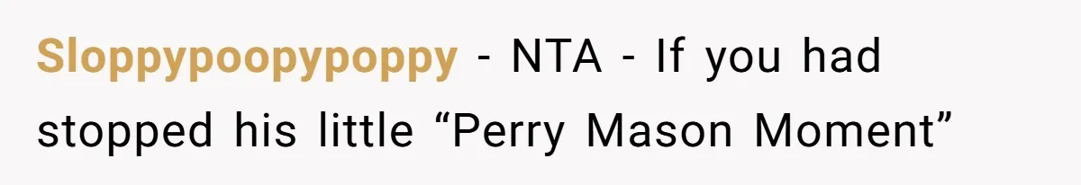 Divorced Mother Lets Ex Husband Rant In Court Over Kids Birthday Plans, Then She Shows Surprising Evidence Sloppypoopypoppy − NTA - If you had stopped his little “Perry Mason Moment”