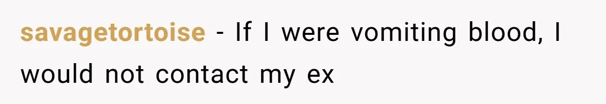 Woman Chooses Her Mental Health Over Her Boyfriends Constant Cycle Of Crisis savagetortoise − If I were vomiting blood, I would not contact my ex