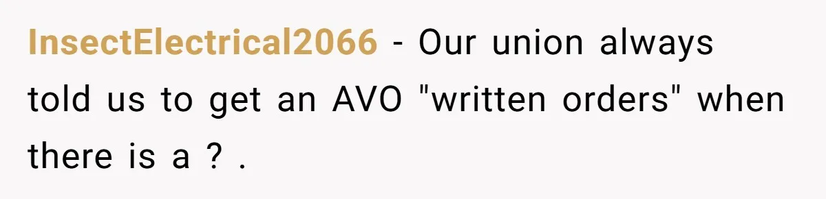 He Kept Saying “Document Everything.” So One Employee Finally Took Him Seriously InsectElectrical2066 − Our union always told us to get an AVO "written orders" when there is a ? .