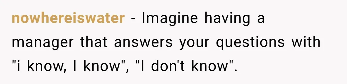 He Kept Saying “Document Everything.” So One Employee Finally Took Him Seriously nowhereiswater − Imagine having a manager that answers your questions with "i know, I know", "I don't know".