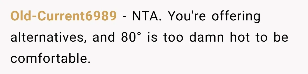 Woman Refuses To Stay At Her In-Laws Due To The Heat, But Her Husband Thinks She’s Being Selfish Old-Current6989 − NTA. You're offering alternatives, and 80° is too damn hot to be comfortable.