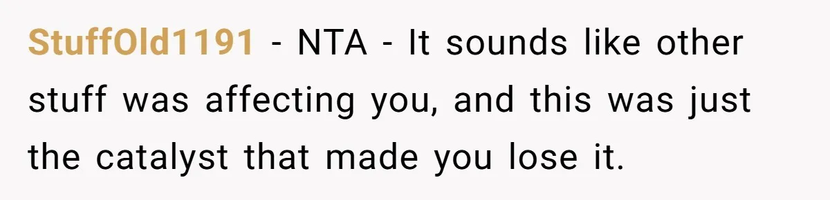 He Barely Knew His Coworker, So Why Did His Death Hit Him So Hard? StuffOld1191 − NTA - It sounds like other stuff was affecting you, and this was just the catalyst that made you lose it.