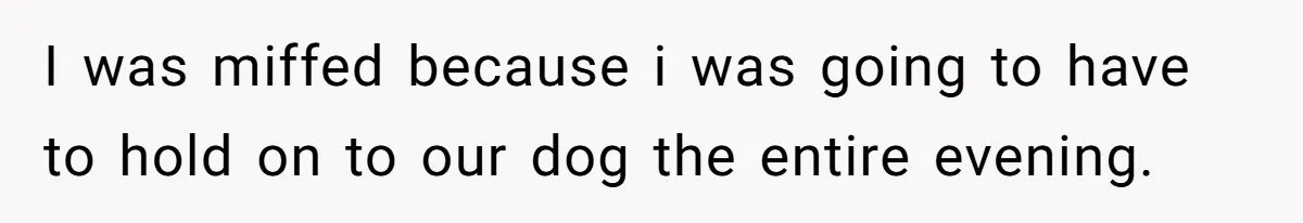 She Brought Her Dog to a Party After Being Promised “No Kids.” Then a Toddler Got Knocked Over I was miffed because i was going to have to hold on to our dog the entire evening.