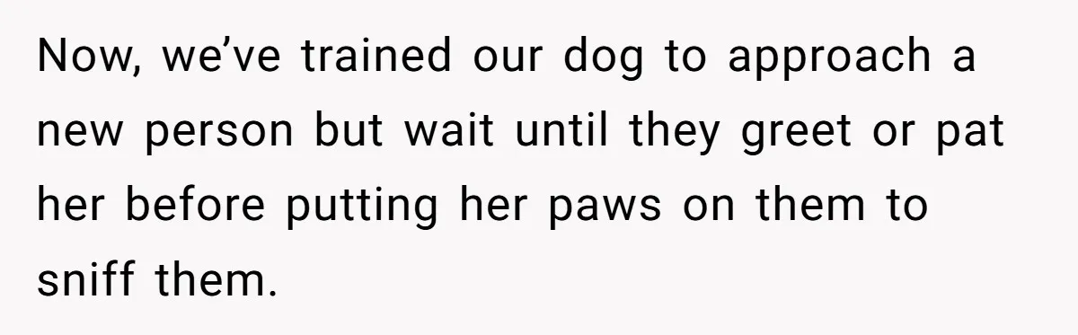 She Brought Her Dog to a Party After Being Promised “No Kids.” Then a Toddler Got Knocked Over Now, we’ve trained our dog to approach a new person but wait until they greet or pat her before putting her paws on them to sniff them.