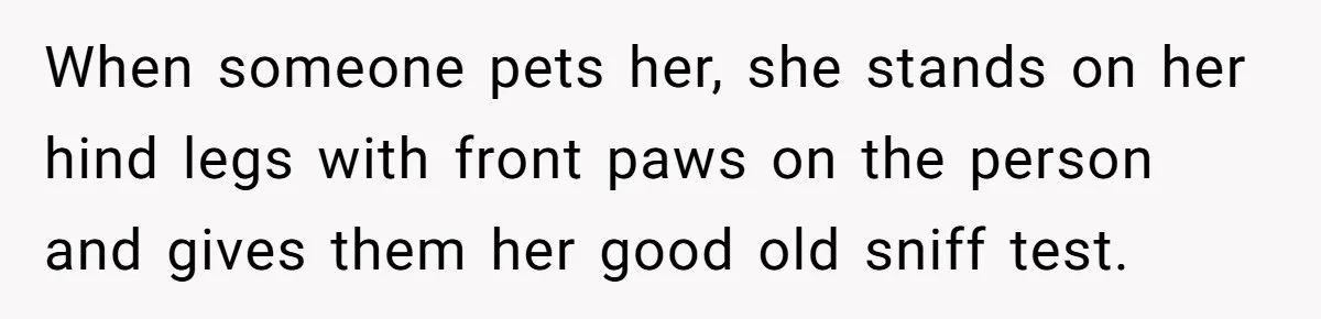 She Brought Her Dog to a Party After Being Promised “No Kids.” Then a Toddler Got Knocked Over When someone pets her, she stands on her hind legs with front paws on the person and gives them her good old sniff test.