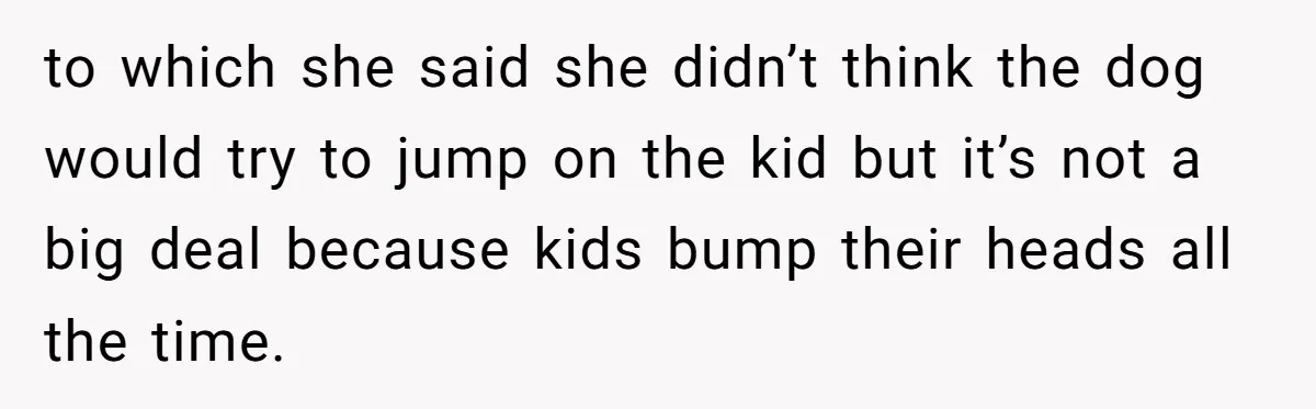 She Brought Her Dog to a Party After Being Promised “No Kids.” Then a Toddler Got Knocked Over to which she said she didn’t think the dog would try to jump on the kid but it’s not a big deal because kids bump their heads all the time.