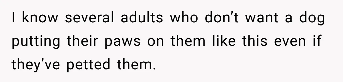 She Brought Her Dog to a Party After Being Promised “No Kids.” Then a Toddler Got Knocked Over I know several adults who don’t want a dog putting their paws on them like this even if they’ve petted them.