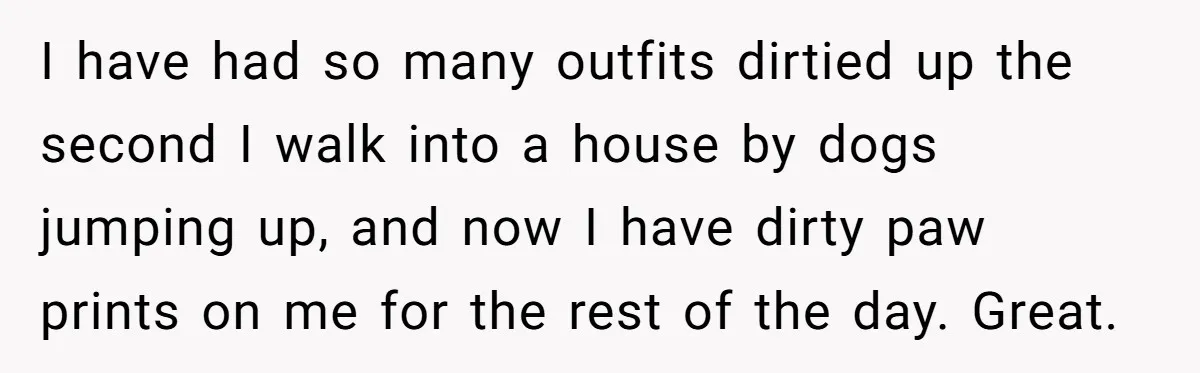 She Brought Her Dog to a Party After Being Promised “No Kids.” Then a Toddler Got Knocked Over I have had so many outfits dirtied up the second I walk into a house by dogs jumping up, and now I have dirty paw prints on me for the...
