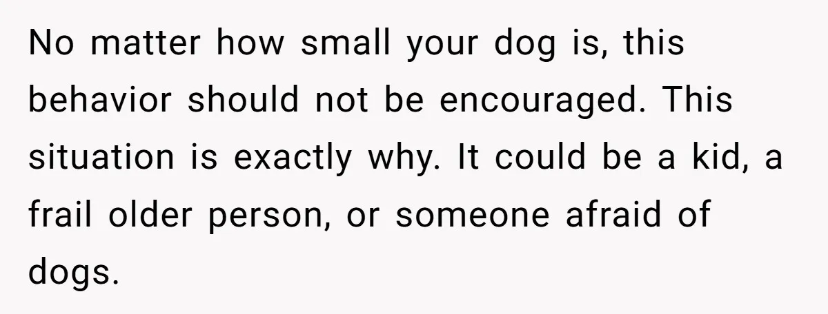 She Brought Her Dog to a Party After Being Promised “No Kids.” Then a Toddler Got Knocked Over No matter how small your dog is, this behavior should not be encouraged. This situation is exactly why. It could be a kid, a frail older person, or someone afraid...