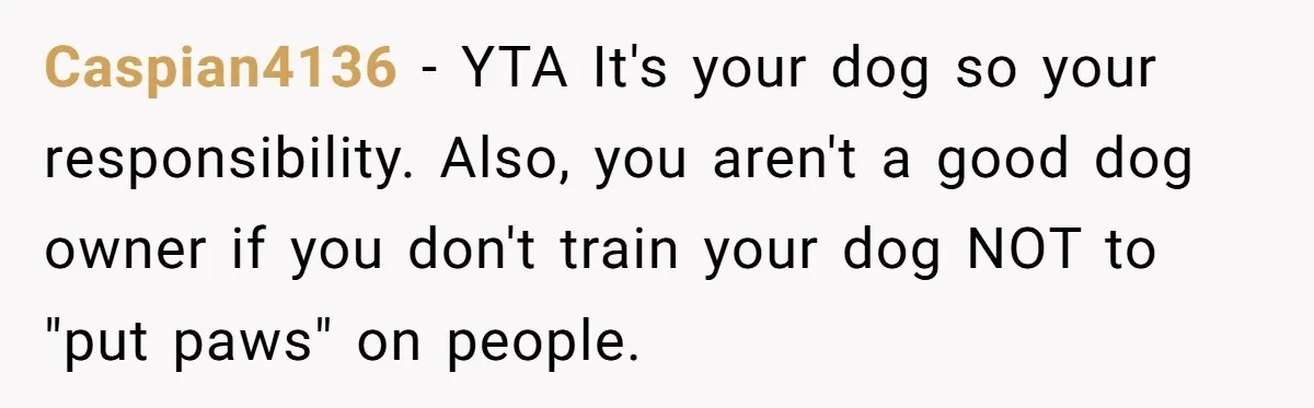 She Brought Her Dog to a Party After Being Promised “No Kids.” Then a Toddler Got Knocked Over Caspian4136 − YTA It's your dog so your responsibility. Also, you aren't a good dog owner if you don't train your dog NOT to "put paws" on people.