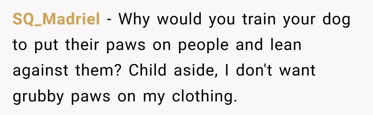 She Brought Her Dog to a Party After Being Promised “No Kids.” Then a Toddler Got Knocked Over SQ_Madriel − Why would you train your dog to put their paws on people and lean against them? Child aside, I don't want grubby paws on my clothing.