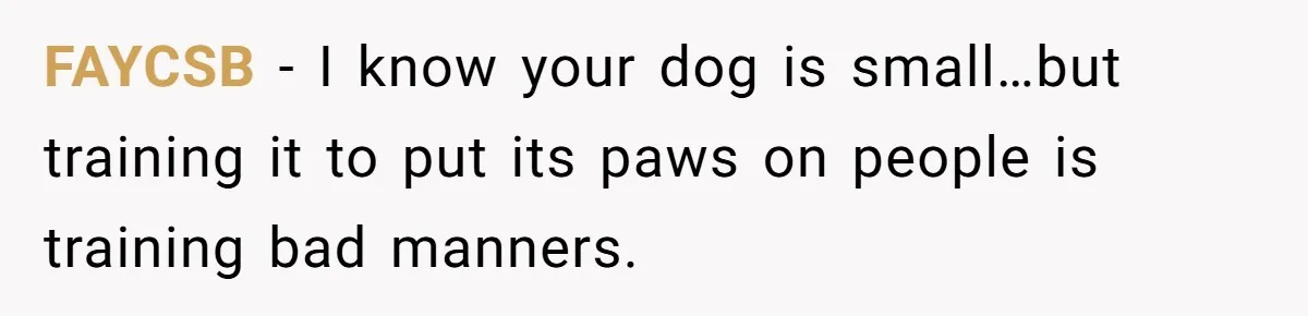 She Brought Her Dog to a Party After Being Promised “No Kids.” Then a Toddler Got Knocked Over FAYCSB − I know your dog is small…but training it to put its paws on people is training bad manners.