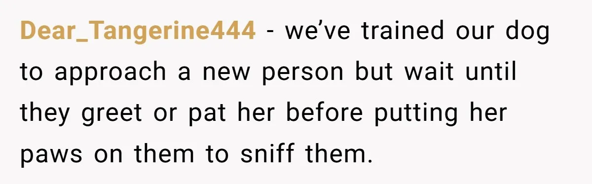 She Brought Her Dog to a Party After Being Promised “No Kids.” Then a Toddler Got Knocked Over Dear_Tangerine444 − we’ve trained our dog to approach a new person but wait until they greet or pat her before putting her paws on them to sniff them.