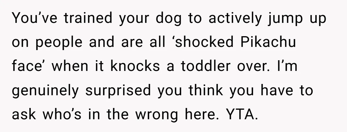 She Brought Her Dog to a Party After Being Promised “No Kids.” Then a Toddler Got Knocked Over You’ve trained your dog to actively jump up on people and are all ‘shocked Pikachu face’ when it knocks a toddler over. I’m genuinely surprised you think you have to...