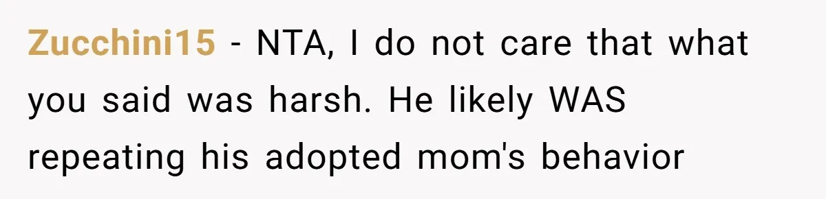 Guy Keeps Mocking Housemate Until She Start Spitting Facts About His Family Zucchini15 − NTA, I do not care that what you said was harsh. He likely WAS repeating his adopted mom's behavior